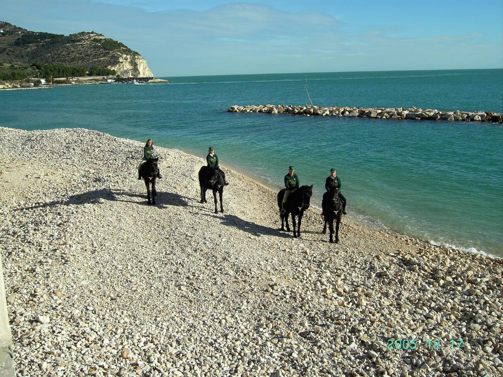 Hotel Menta E Rosmarino Monte SantʼAngelo Екстериор снимка